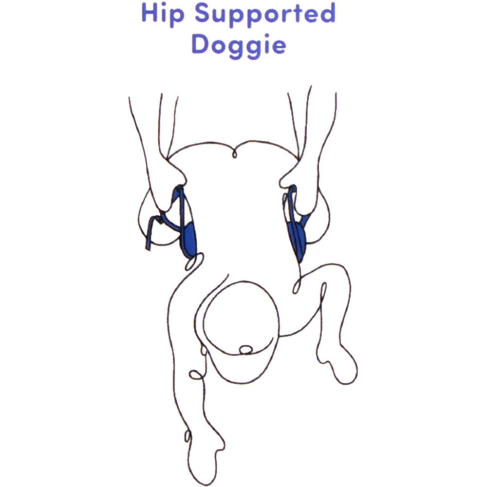 sportsheets pivot doggie support strap