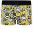Classic Top Loading Boxer Packing Underwear - Funky Frogs