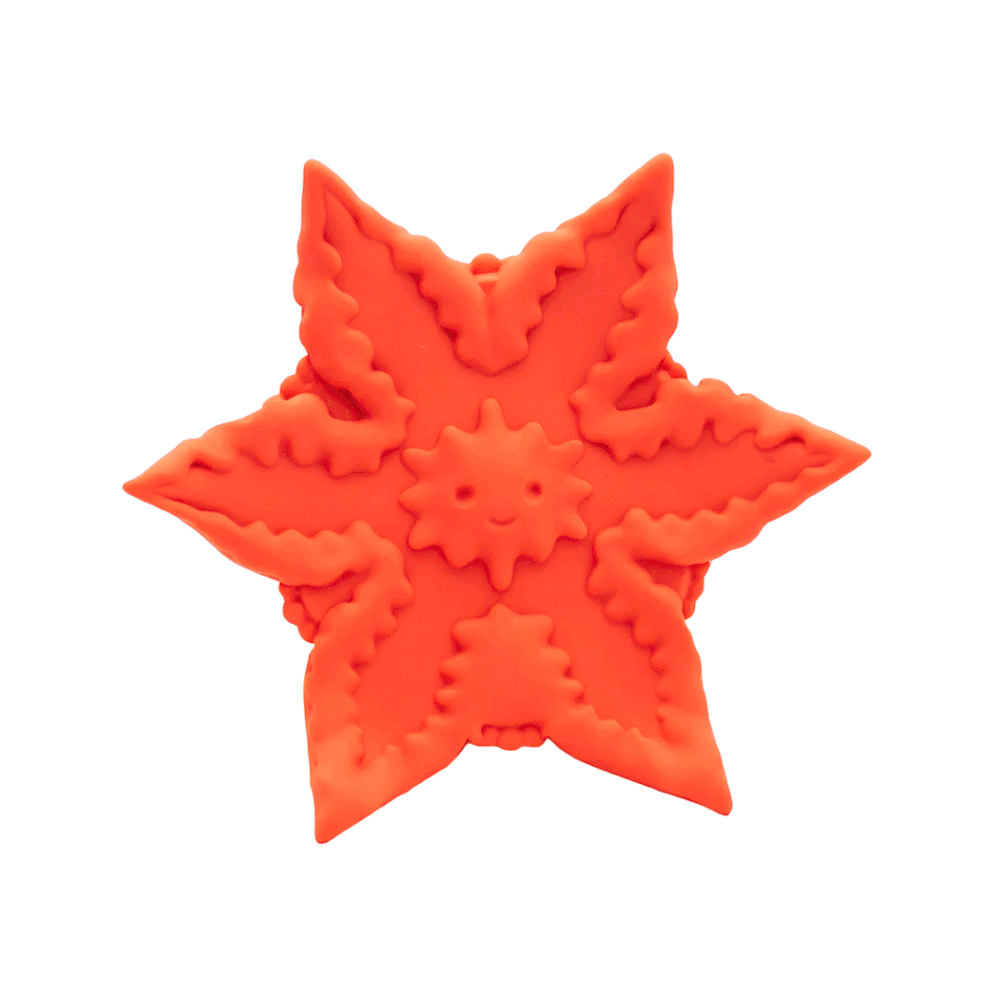 Cute Little F*ckers - Starsi Vibrator - Coral - RodeoH