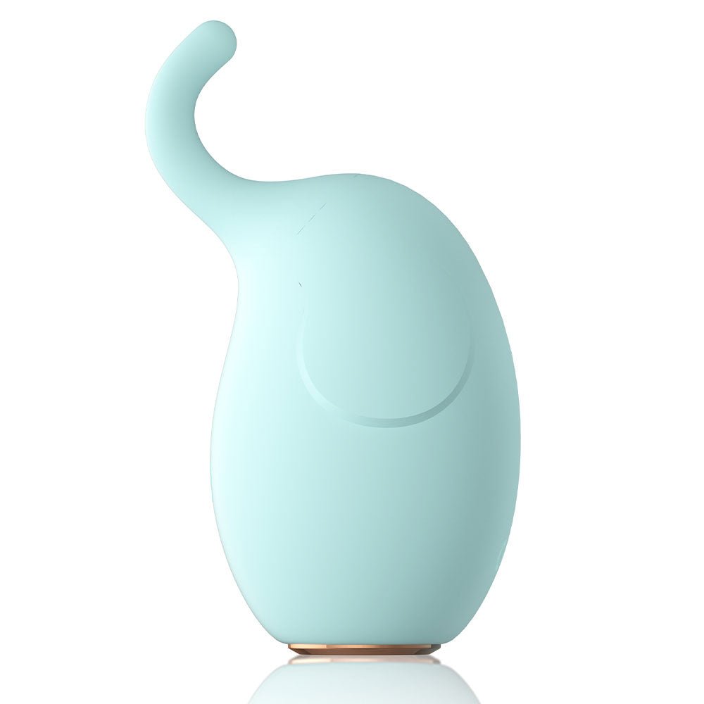 Elle - Multifunction Silicone Egg Bullet Vibrator - Mint - RodeoH