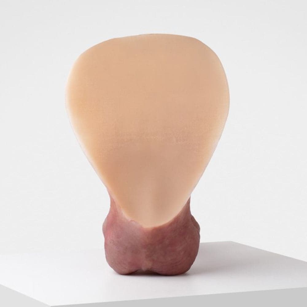 Erect 01 Custom Painted Dildo - RodeoH