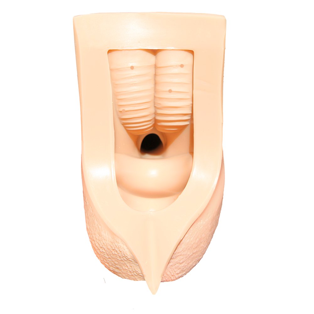 Hard Line Junior D. 4-IN-1 | STP - RodeoH