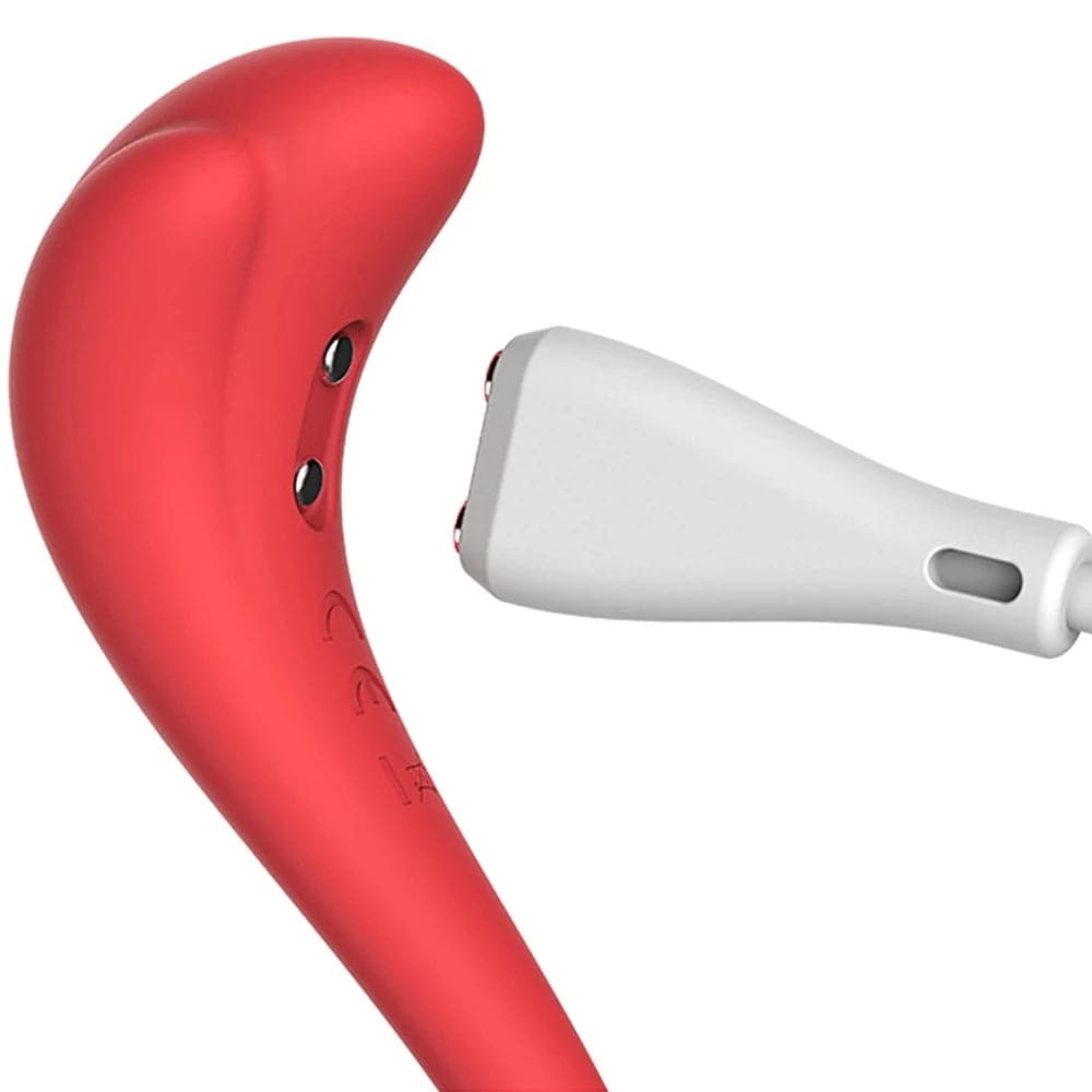 Phoenix Neo Interactive App Vibrator by Svakom - RodeoH