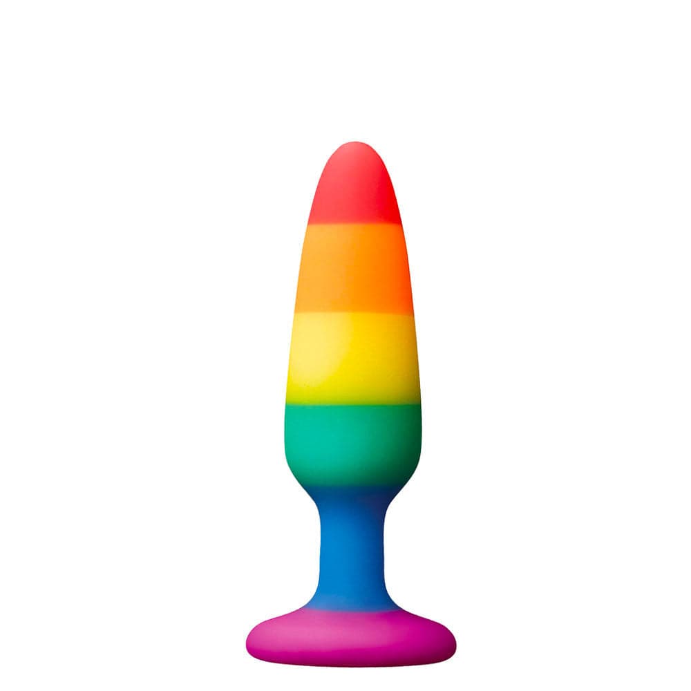 Rainbow Colours Pleasure Anal Plug - Small - RodeoH