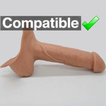 Compatible STP example, Hard Line Dominator