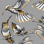 rodeoh hummingbird pattern