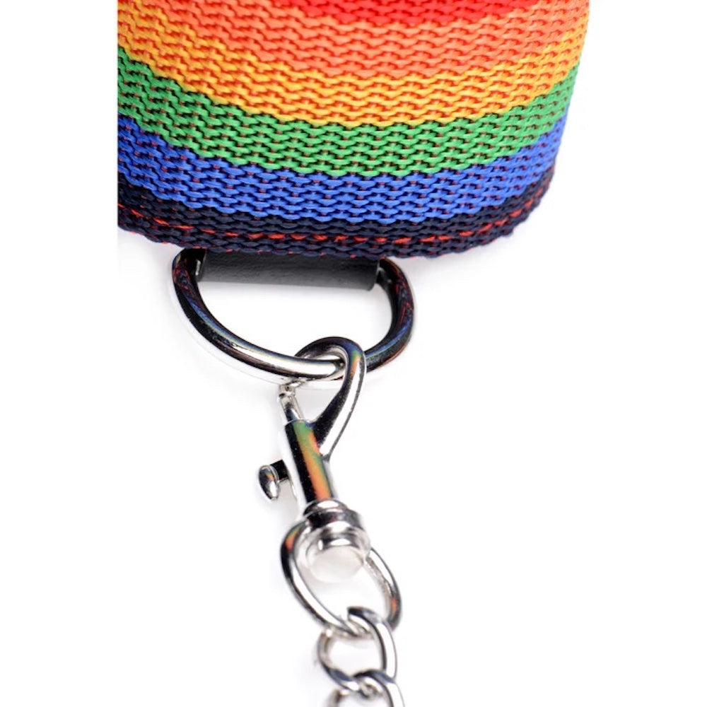 Master Series Kinky Pride Rainbow Bondage set