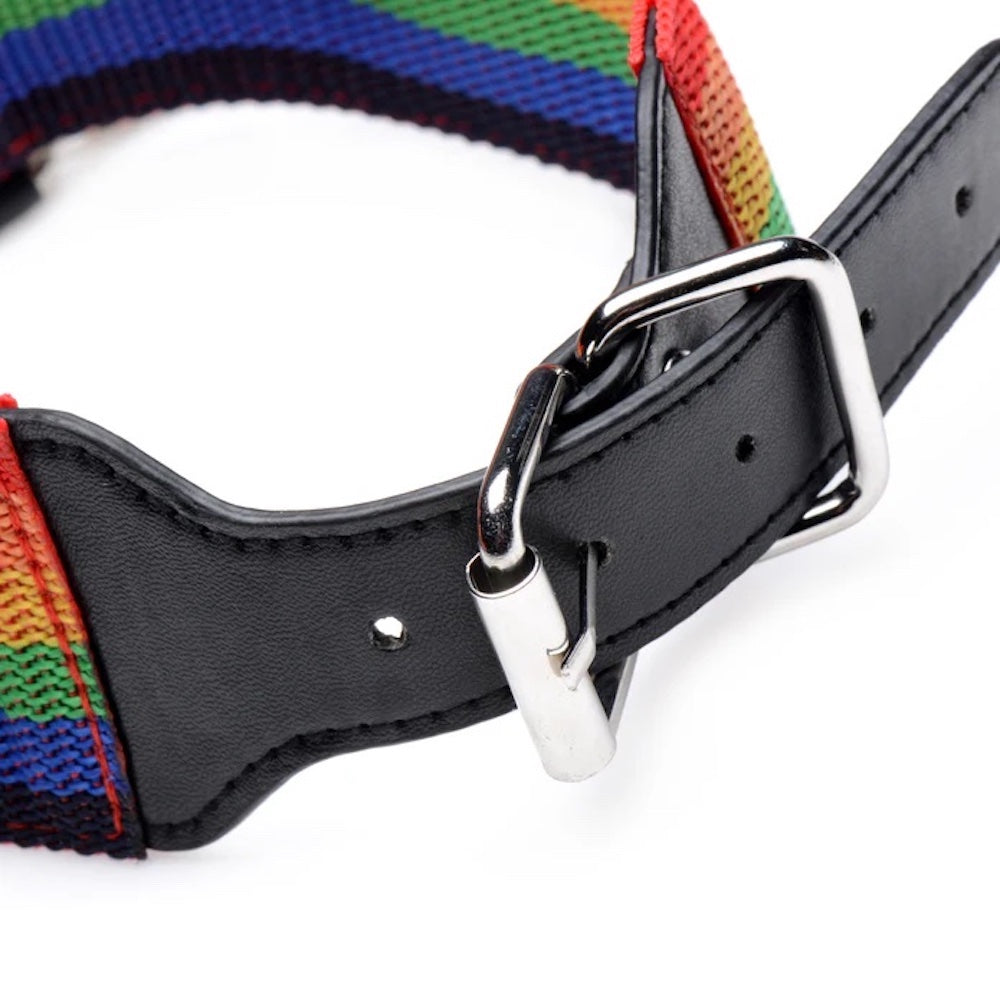 Master Series Kinky Pride Rainbow Bondage set