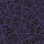 rodeoh geometric pattern black and purple