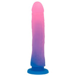 Nexus Silicone Grande Dildo in Sweet tart pink and blue ombre from the front