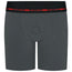 Rise Boxer+ Harness - Gray
