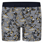 RodeoH Shift 6 inch Boxer in Hummingbirds print, front view