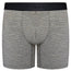 TRUHK Boxer STP/Packing Underwear - Light Gray - RodeoH