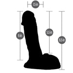 6" Realistic Semi Pack and Play Dildo - Dimensions - RodeoH