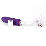 Bam Mini Silicone Bullet Vibe - Rechargeable - Indigo - RodeoH