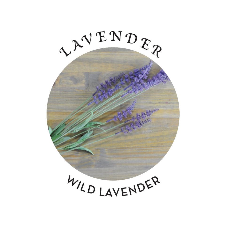 Earthly Body Hemp Seed Massage Oil - Lavender - RodeoH