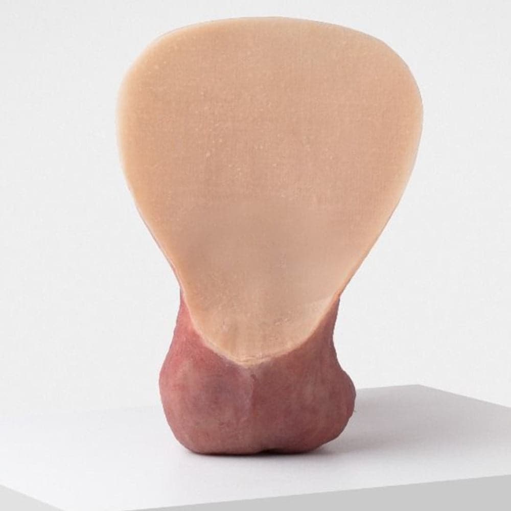 Erect 04 - RodeoH