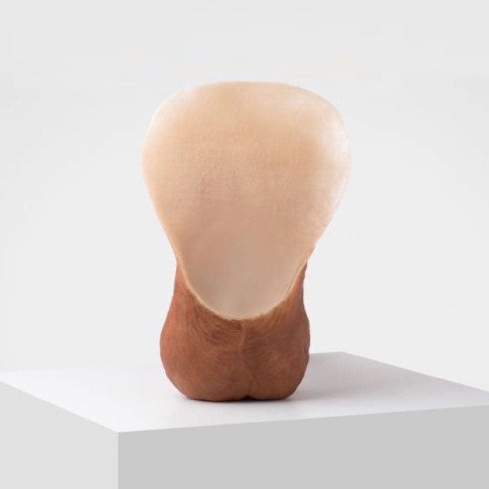 Erect 11 Custom Painted Dildo - RodeoH