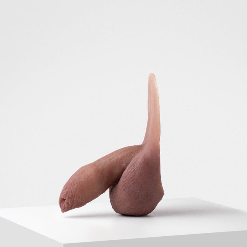 Flaccid Packer 05 - Custom Painted Silicone - RodeoH