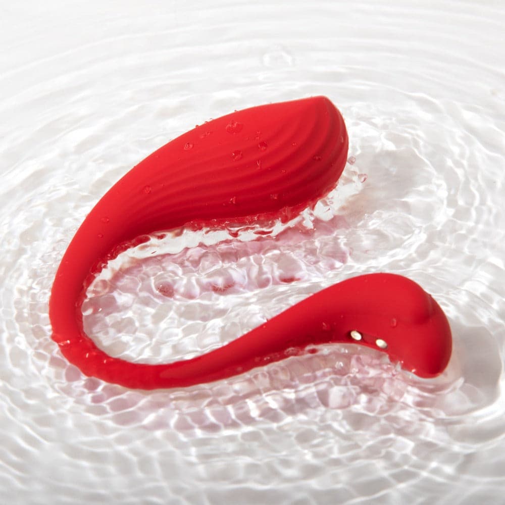 Phoenix Neo Interactive App Vibrator by Svakom - RodeoH