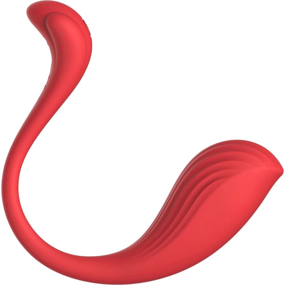 Phoenix Neo Interactive App Vibrator by Svakom - RodeoH